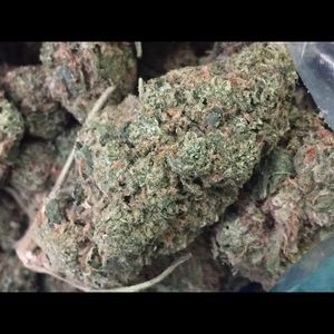 Meet your Posher, Lenny